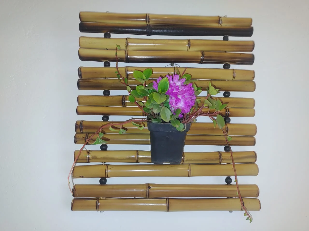 Suporte De Bambu Para Plantas