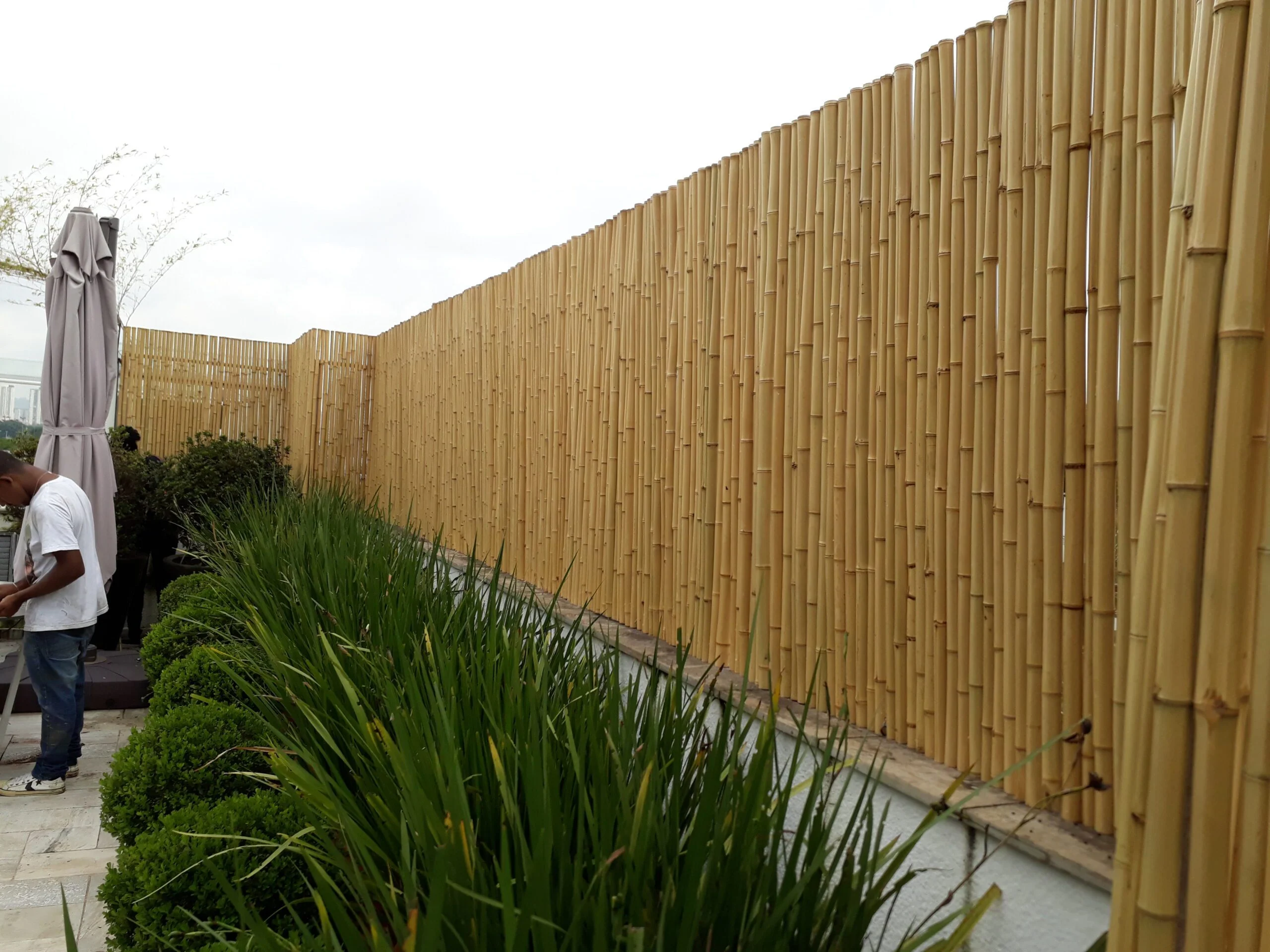 Cerca De Bambu Fracionada Cor Natural Reta