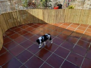 Cerca De Bambu Fracionada