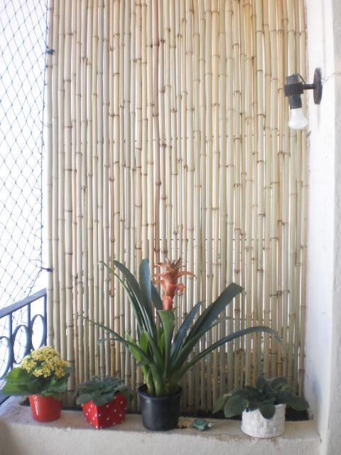 Painéis de bambu multiuso claro