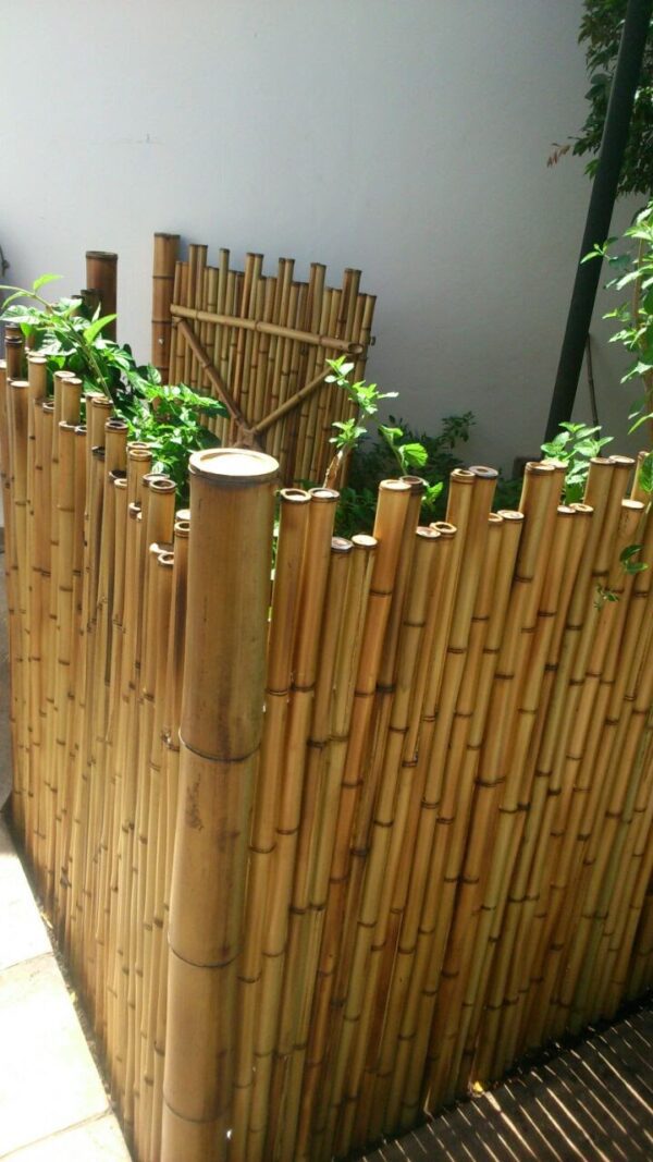 Cerca de bambu fracionada clara