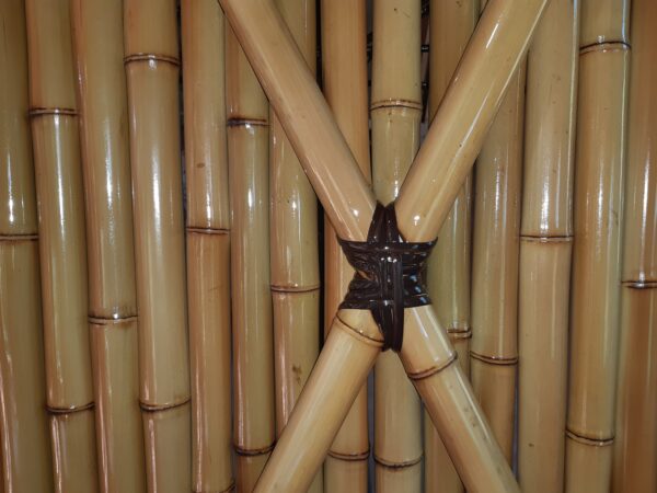 Porta De Bambu Cana Da Índia