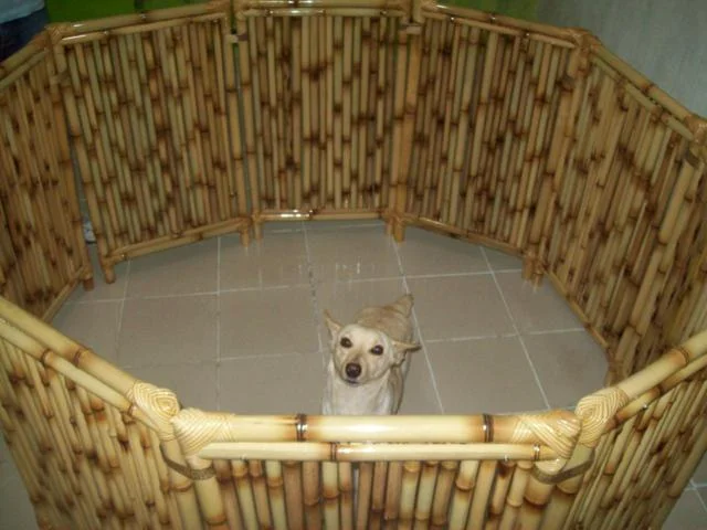 Cerquinha de bambu para cachorro 2 Cerquinha De Bambu Para Cachorro