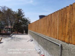 Criar Jardins Verticais