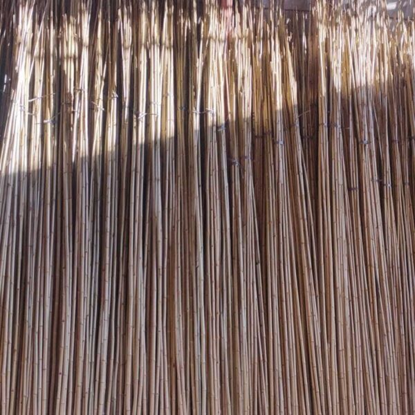 Bambu tratado nº02, para decorações artes e artesanatos