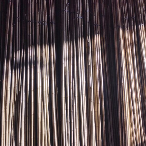 Bambu tratado número 3, para artesanato, construções e decorações