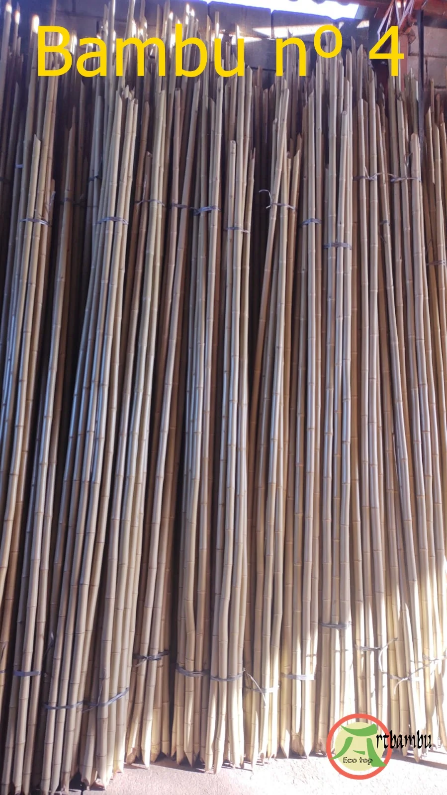 Bambu Tratado Nº 4