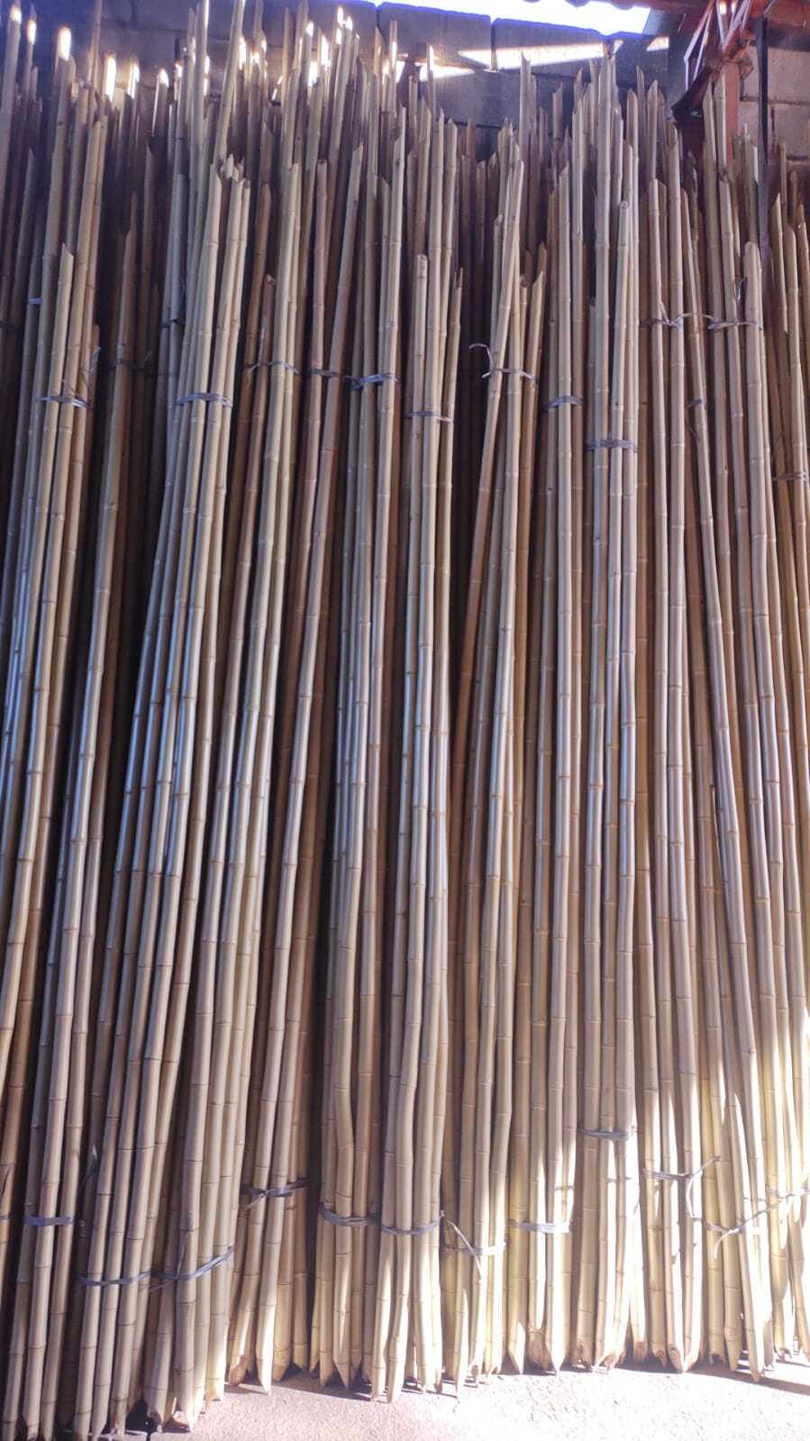 Comprar painel de bambu, e transformar sua casa e seu jardim 1 Painel De Bambu