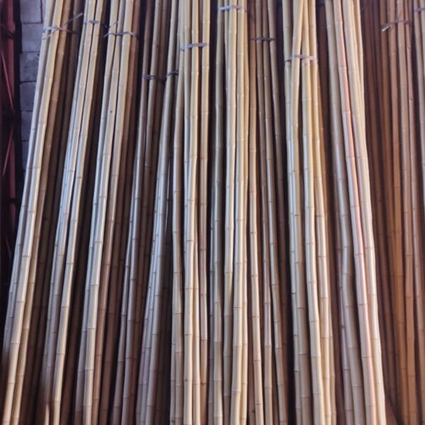 Venda de Bambu tratado numero 5