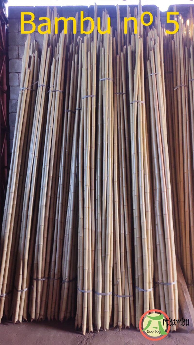 Venda de Bambu tratado numero 5