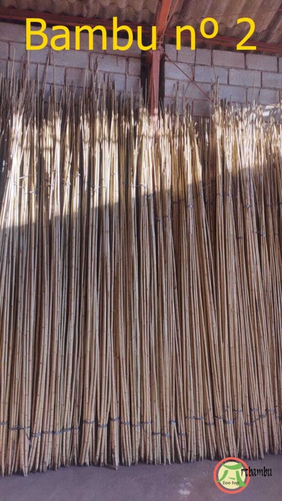 Bambu Numero 2