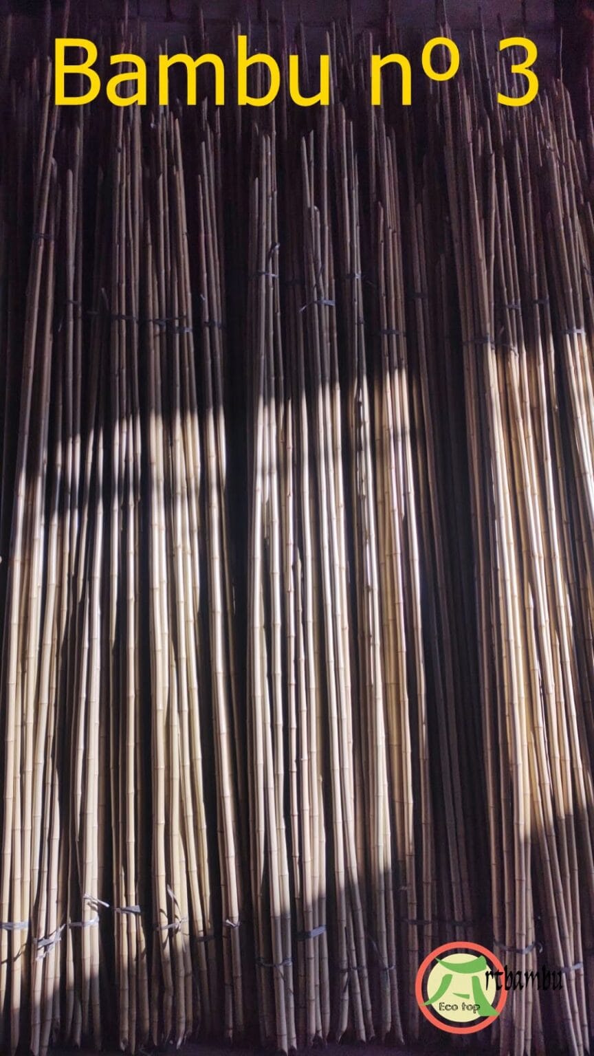Bambu tratado número 3, para artesanato, construções e decorações 1 Bambu Nº 3