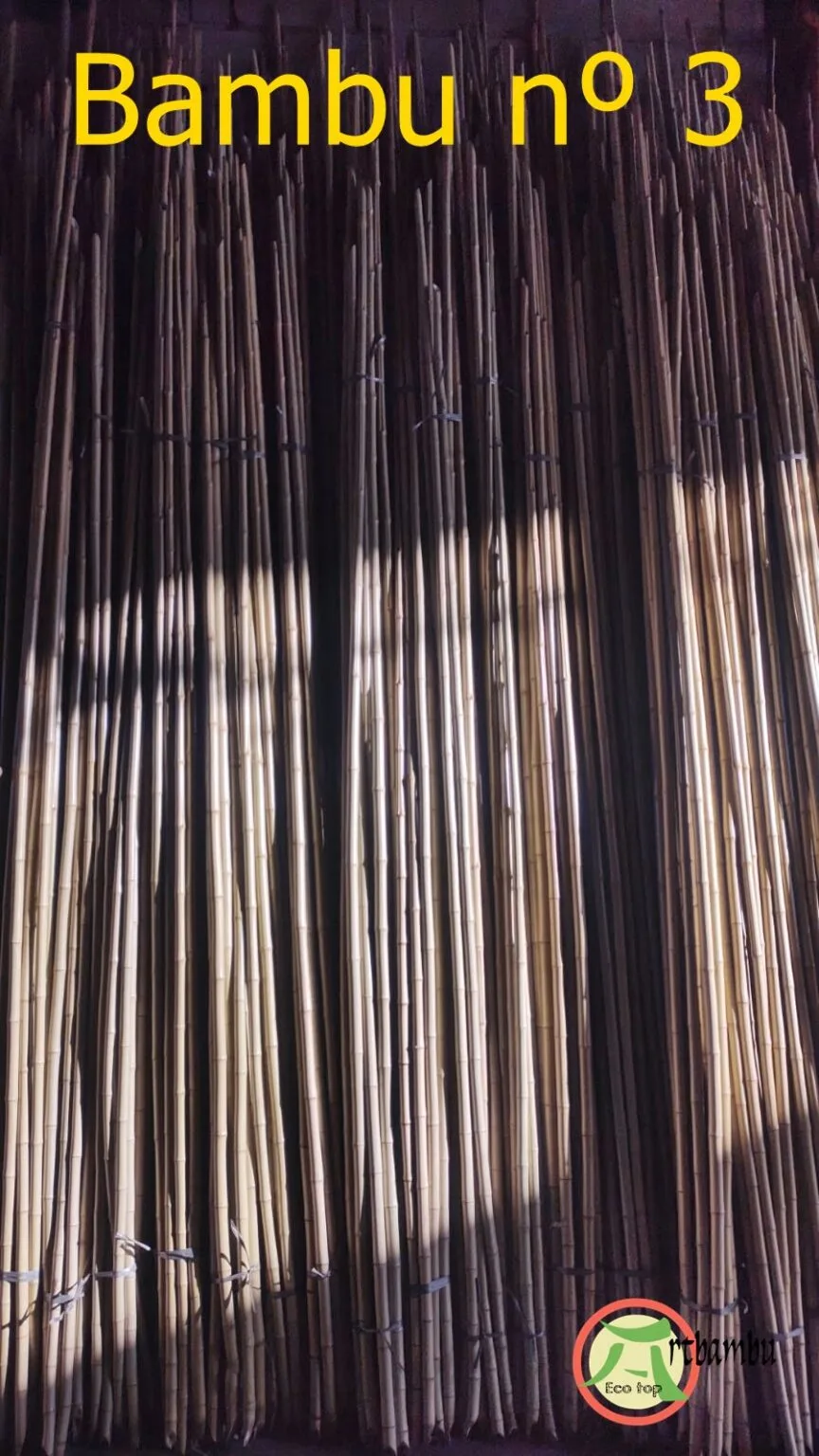 Bambu tratado número 3, para artesanato, construções e decorações 1 Bambu Nº 3