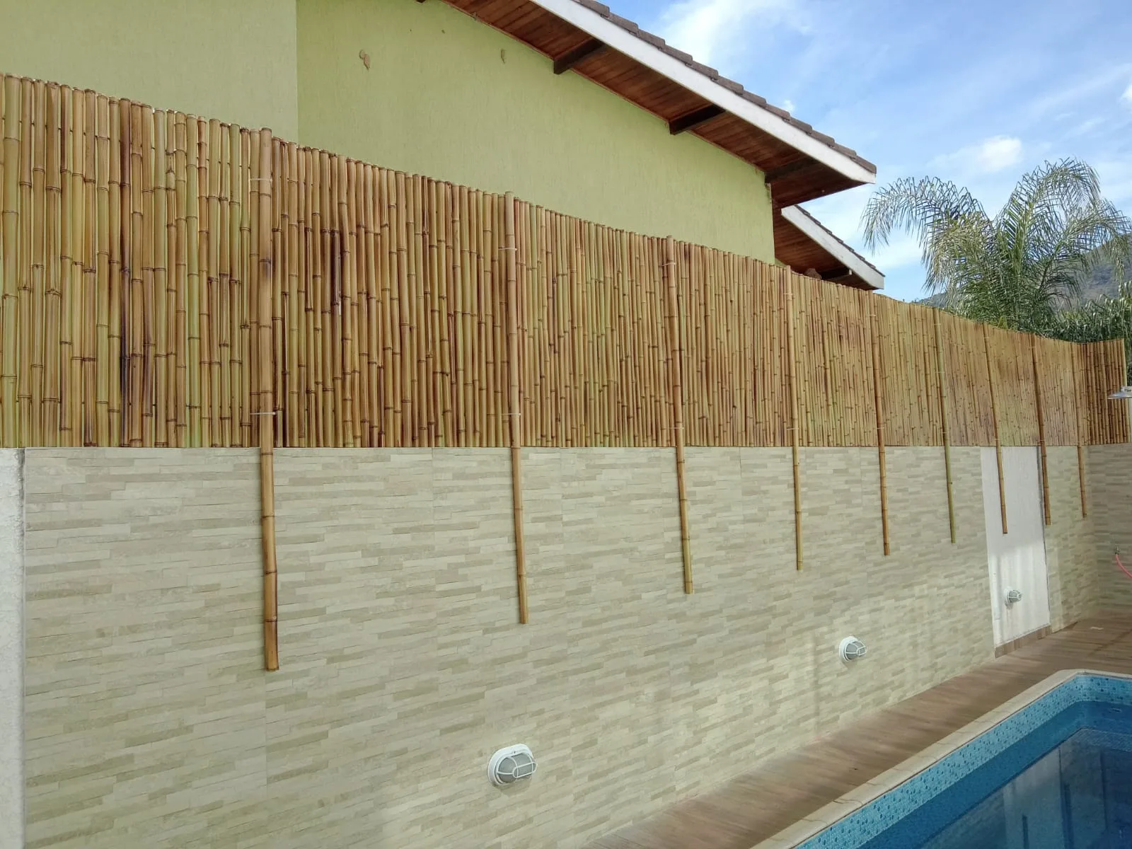 3 Maneiras De Tapar A Visão Do Seu Vizinho Com Bambu