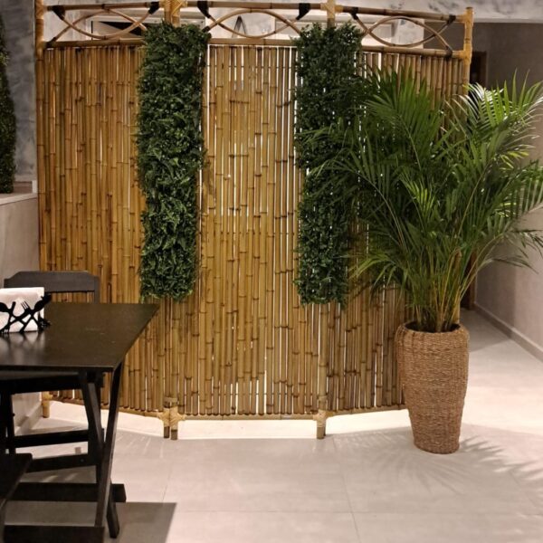 “comprar bambu tratado para jardim”